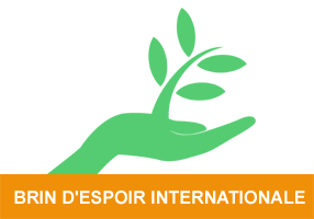 ONG Brin d'Espoir International